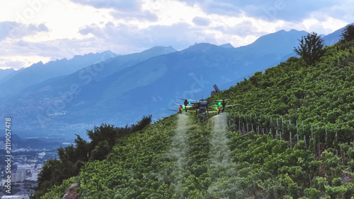 Drone Spraying Vineyard on Steep Mountain Slope Valley