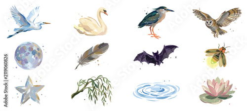 Nature elements icons set. Wildlife and natural world concept. Includes egret, swan, heron, owl, moon, feather, bat, firefly, star, willow branch, water ripples, lotus flower. Watercolor