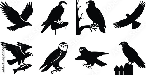 Cuadro en lienzo Vector silhouette icon set of wild birds of prey and raptors isolated on white b