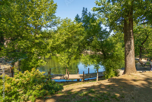 Photography Lush green trees surrounding a calm body of water