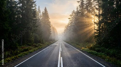 Asphalt road stretches through a misty coniferous forest at sunrise with golden light beams.