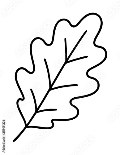Hand-drawn oak leaf vector icon illustration with lobed edges and central vein detail, minimalist line art style, black outline botanical graphic for nature designs
