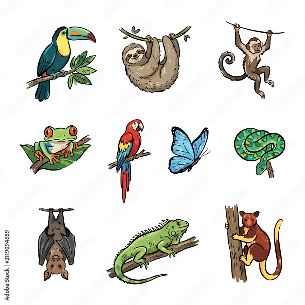 Fototapeta premium Colorful tropical animals: toucan, sloth, monkey, frog, parrot, butterfly, snake, bat, iguana, lemur.