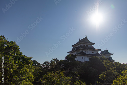 太陽に照らされる和歌山城