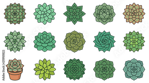 Foto Green succulent plant and cactus geometric icon set