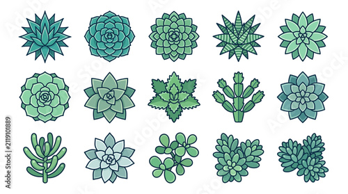 Green succulent plants and desert cacti icon collection.