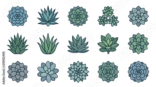 Green succulent and agave plant icon set.