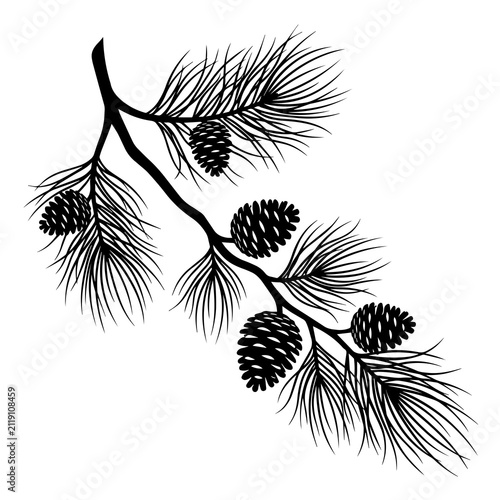 Black silhouette of a pine tree branch with long needles and multiple pine cones, isolated on a white background