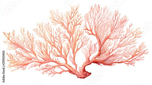 Elegant branching coral painted with flowing coral pink, peach and ivory watercolor pigments, contemporary marine illustration, isolated on white