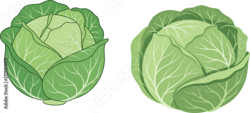 Quadro su tela Fresh green cabbage heads set whole raw organic vegetable isolated on white back