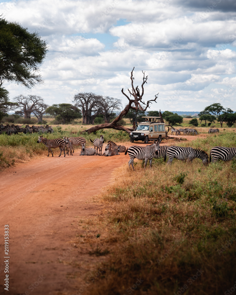 Naklejka premium Exploring and Watching Wild Animals in Nature