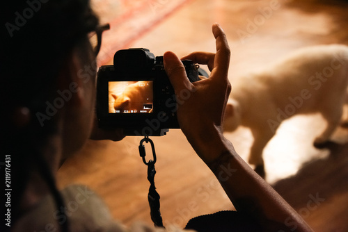 Bild auf Leinwand Dynamic horizontal shot of a photographer trying to capture a moving cat with in