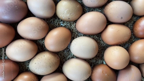 Fresh chicken eggs in a wooden container filled with unhusked rice. Close-up video of a chicken egg.
