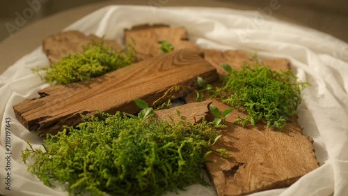 Rustic wood and moss arrangement natural texture close up forest nature decoration organic background