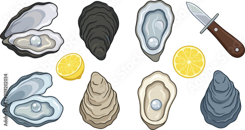 Fotografía Fresh oyster shell seafood vector element collection featuring open oysters with