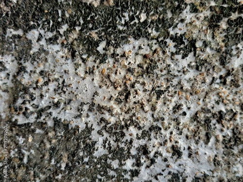 texture of stone
