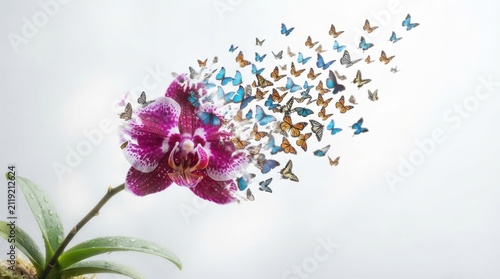Purple orchid flower transforming into a swarm of butterflies