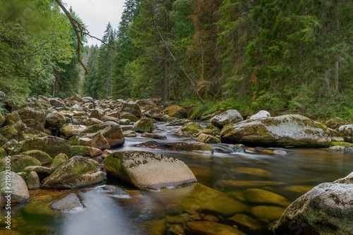 Fotografie Rocky riverbed of the Vydra River in Šumava National Park, Czech Republic