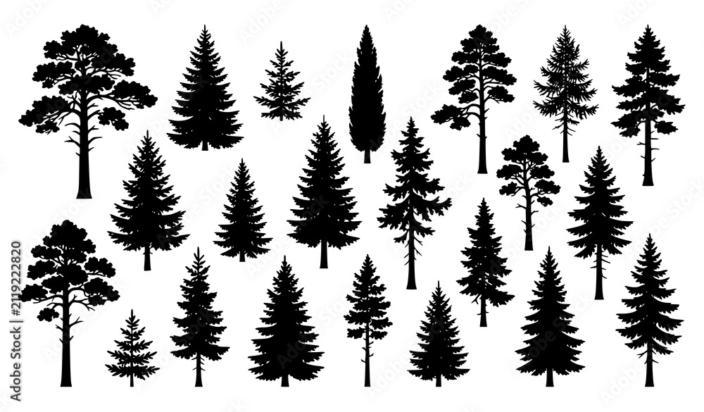 Obraz premium Pine Fir Spruce and Evergreen Tree Silhouette Collection Forest Nature Vector Illustration Set