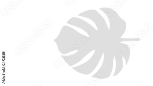Monstera Leaf Shadow Overlay on White Background, Tropical Plant Silhouette, Natural Sunlight Shadow Effect for Mockups and Minimal Design