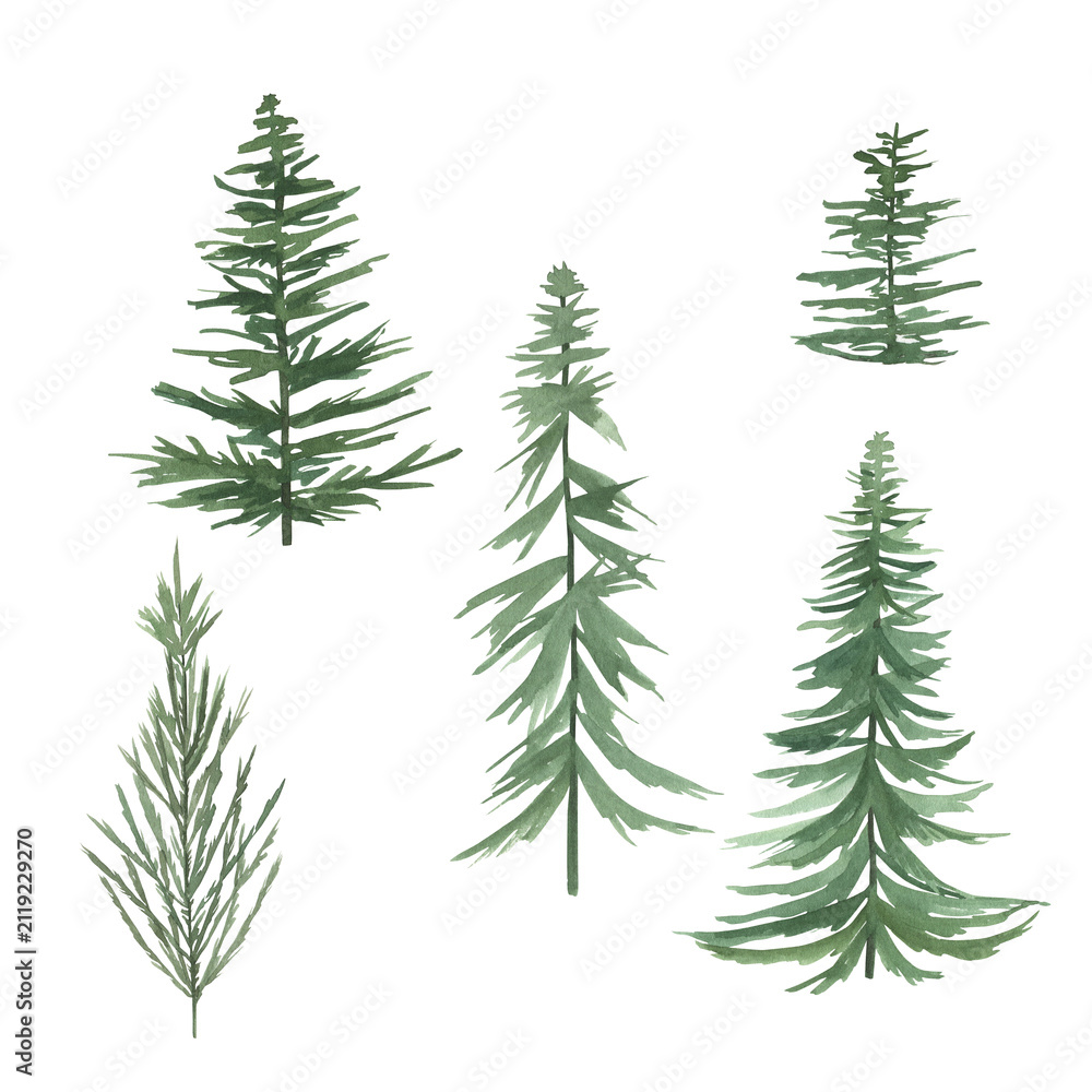 Obraz premium Christmas trees collection. Greeting winter background. Watercolor print. Hand drawn illustration
