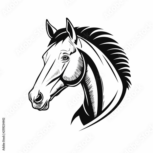 Horse head vector. Horse Head Vector Illustration on white background.