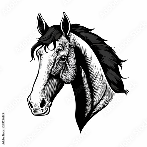 Horse head vector. Horse Head Vector Illustration on white background.
