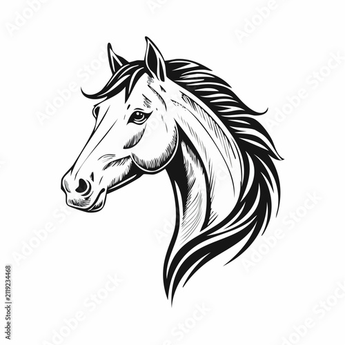 Horse head vector. Horse Head Vector Illustration on white background.