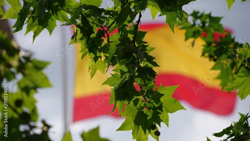 Spanish flag waving in the wind behind green tree leaves