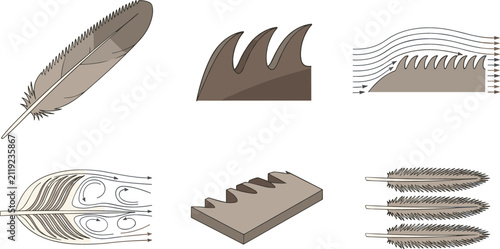 Aerodynamic Owl Feather Structure Vector Icon Set Demonstrating Silent Flight Mechanics Serrated Edges Airflow Vortices and Biomimicry Engineering Diagrams