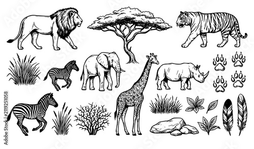 Canvas Print Wildlife Sketch Elements Hand Drawn Vector Collection