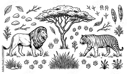 Canvas Print Safari Animals Hand Drawn Vector Illustration Set