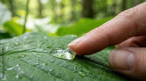 Hand touching water droplet leaf