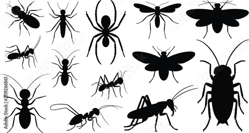 Konstfotografi Insects silhouettes vector set featuring creeping crawling bugs spider cockroach