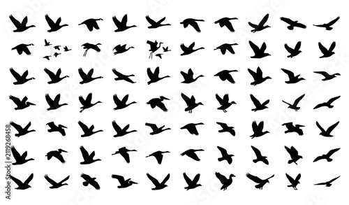 Quadro su tela Flock of Migratory Birds Flying Silhouette Vector Set for Nature Freedom and Wil
