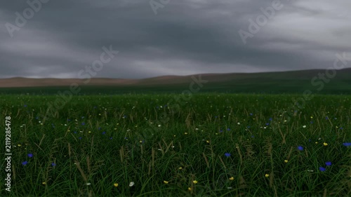 Grassy field under stormy, dark clouds. Looped animation