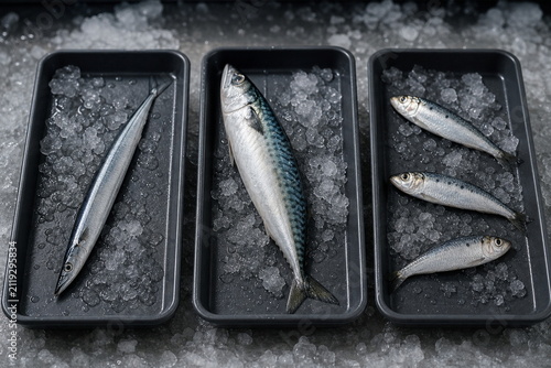 サンマとサバとイワシを分けた代替魚の比較陳列