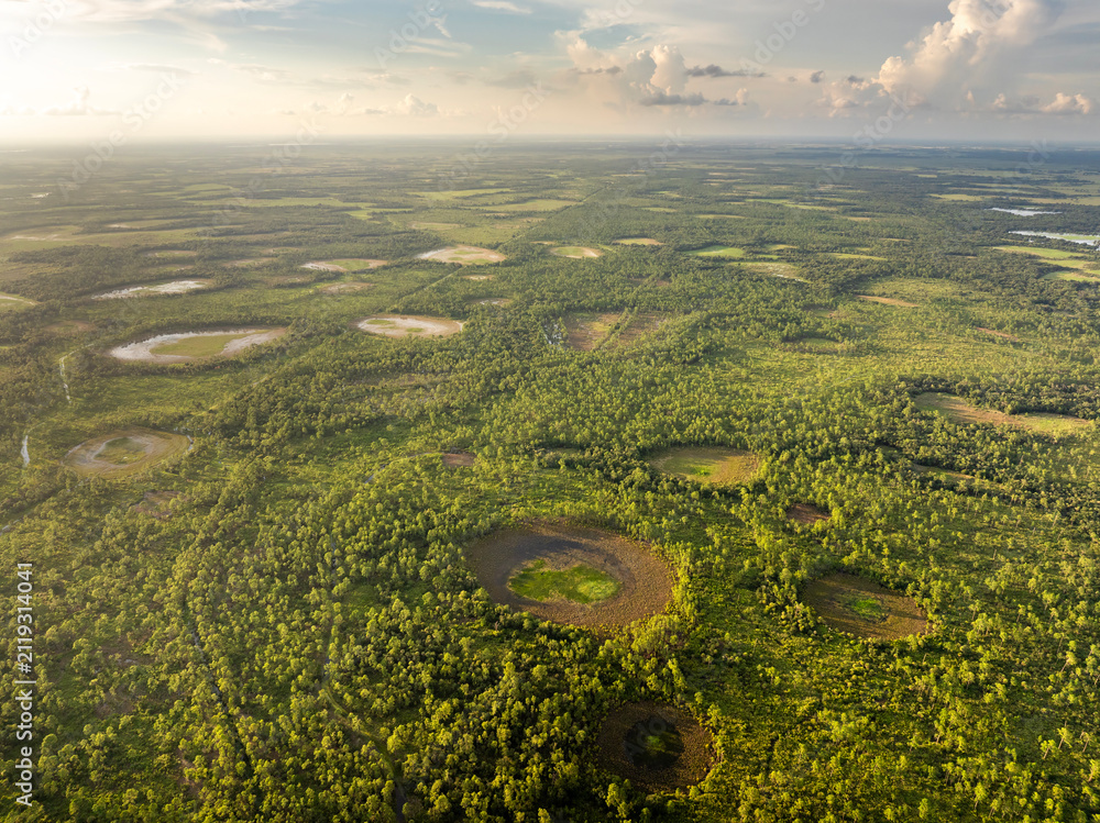 Fototapeta premium Florida wetlands with water between green wild vegetation. Tropical ecosystem at sunset