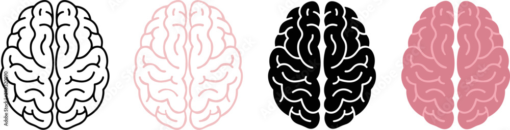 Fototapeta premium Set of four brain icons in different styles, including outline and solid fill versions in black and pink colors