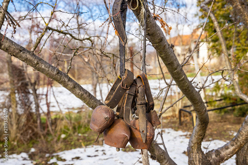 Old rusted bells for Surva Festival costumes.