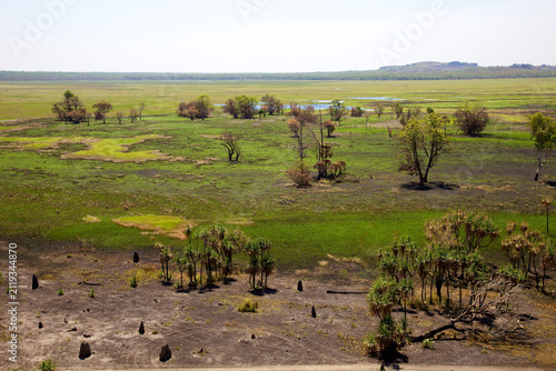 Fotografie A vast Australian savannah landscape displays a mix of green regrowth and scorched earth, featuring unique termite mounds scattered throughout the wetland area today