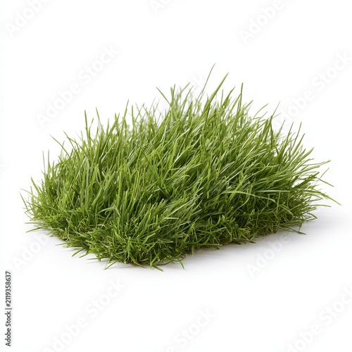 Green grass sits alone on white backgrounds.