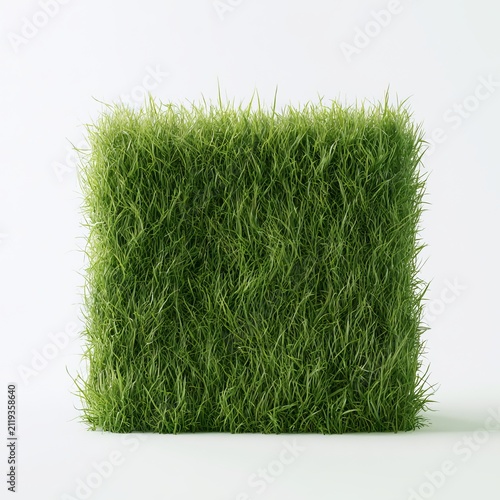 Green grass sits alone on white backgrounds.