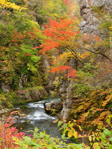 秋の鳴子峡（宮城県大崎市鳴子温泉）