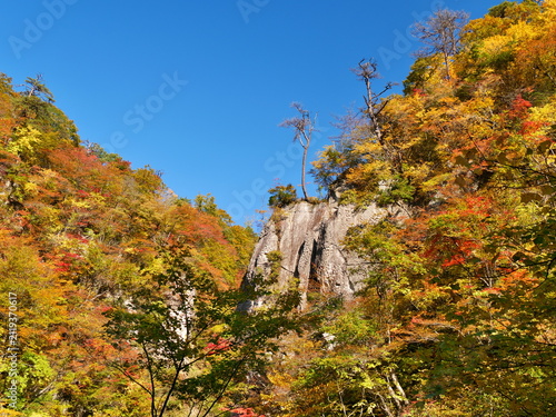 秋の鳴子峡（宮城県大崎市鳴子温泉）