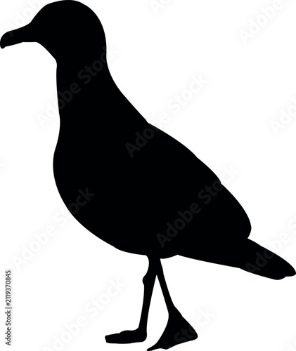 a sea gull body silhouette vector