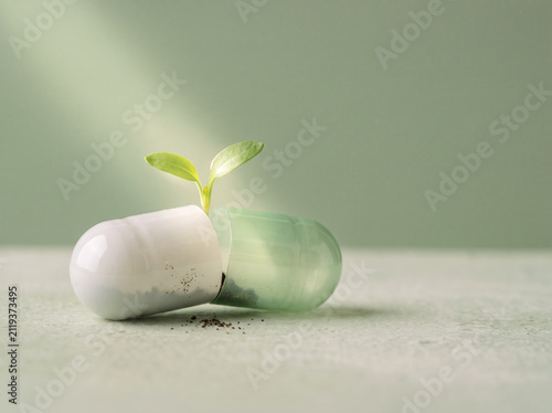 Medicine capsule split open with a green seedling growing inside