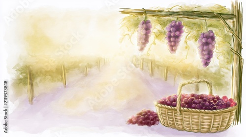 Watercolor vineyard with grape harvest. Artistic illustration of grapes in a wicker basket.