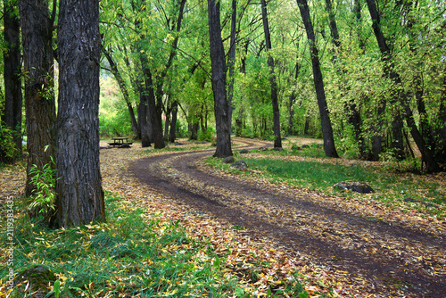 Autumn scenery of northern Utah