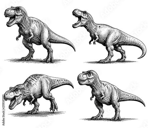 Collection of four detailed illustrations of Tyrannosaurus Rex dinosaurs in various poses